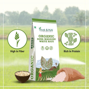 Organic Rice Sona Masoori White